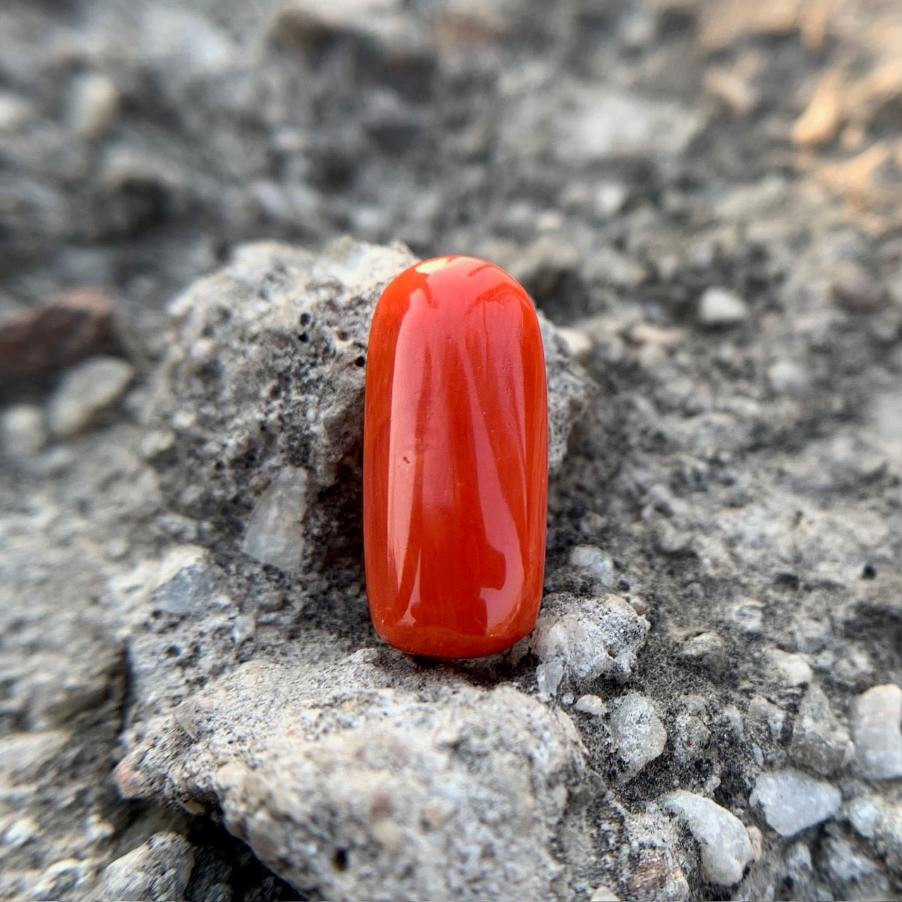 Red Coral