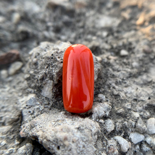 Red Coral